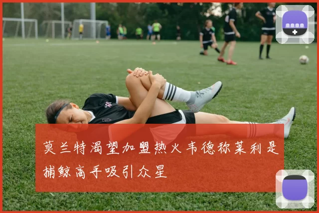 莫兰特渴望加盟热火韦德称莱利是捕鲸高手吸引众星